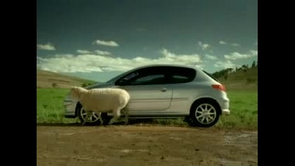 Реклама Peugeot 206 