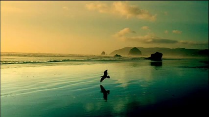 Tom Middleton - Sea Of Glass (jon Hopkins Remix)