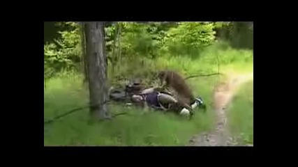 Атаката на елена