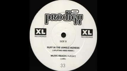 Ruff In The Jungle Uplifting Vibes Remix