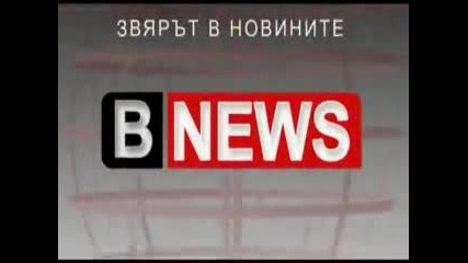 България над всичко