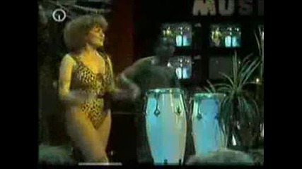 Tight Fit - The lion sleeps tonight