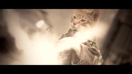 Медал на честта котка