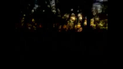 Gece Hayvanlarini Inceledim Ya Swa 2015 Hd