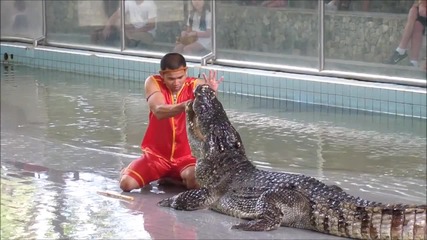 Човек си слага главата в устата на крокодил