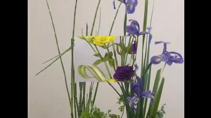 Beethoven Sonata for Piano and Violin No.5 ( Double Beauty)