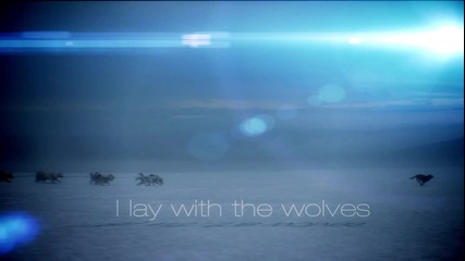David Guetta - She Wolf (lyrics Video) ft. Sia