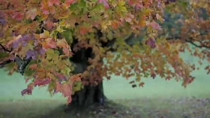 Vermont 2012 ~ Photography Adventures with Kent Weakley