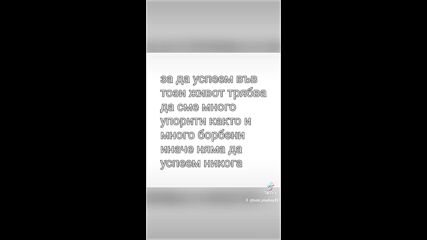 2024-11-16-171451626.mp4