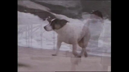Laura Branigan - Didn't We Almost Win It All (1993)