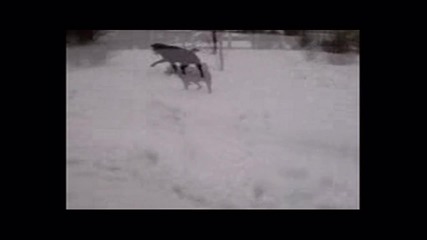 Jeremy in the snow (3) 