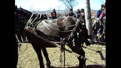 Todorov den samokov