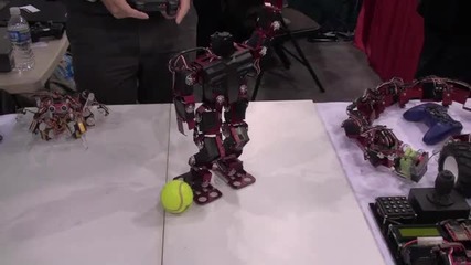 Robot Show 