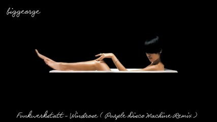 Funkwerkstatt - Windrose ( Purple Disco Machine Remix )