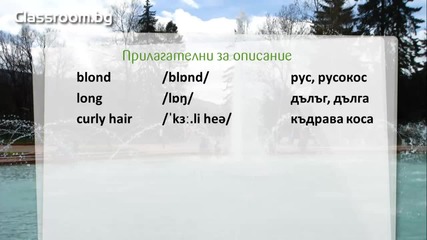 Онлайн Курс А1.1, Урок 17-- She is blond- новите думи от урока