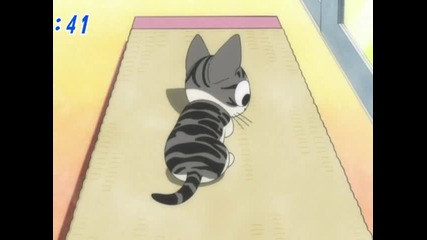 chi's sweet home 027 (bg)