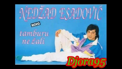 Nedzad Esadovic - Palo je zuto lisce