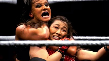 NXT Women’s Title on the line in historic Steel Cage Match – Tonight on WWE Network