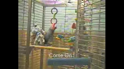 Nelsonsept240001.wmv