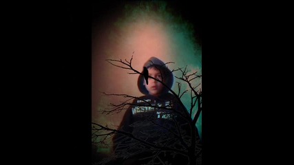 Lamer