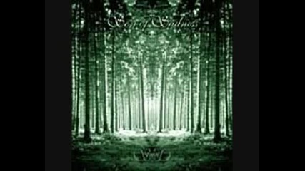 Sun Of Sadness - In The Forest
