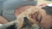 Йоркширски териер милва стопанина си по лицето преди сън