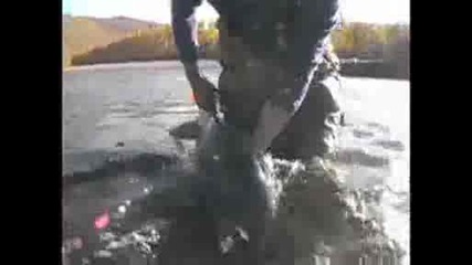 National Geographic - Biggest Trout Fished In Asia