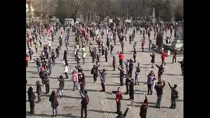 Мартеница, кандидат за рекорд! 2011
