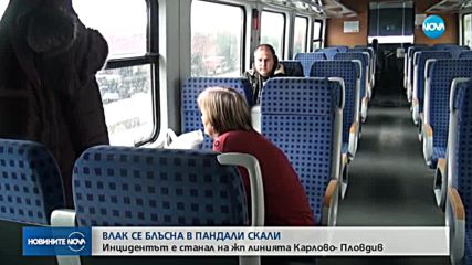 Новините на NOVA (22.03.2018 - следобедна емисия)