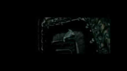 Catchmeifyoucan.3gp