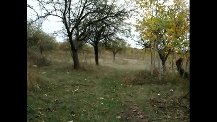 pusto no ludo i mlado -rumen Markov