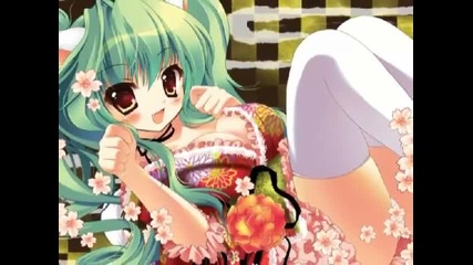 Neko Mimi Girls amv