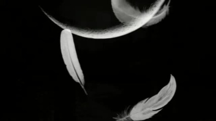 Labyrinth - The night of dreams