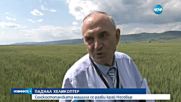 Селскостопански хеликоптер се разби край Несебър
