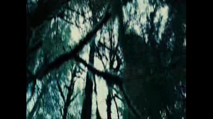 twilight :)