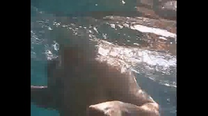 Benidorm Diving