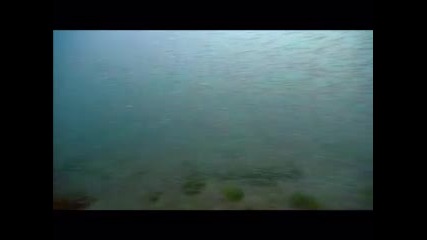Bbc Blue Planet еп. 7 Приливните морета част 1 