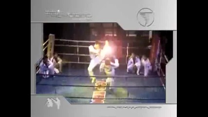 Ето Това Е Таекуон - до Стил W T F