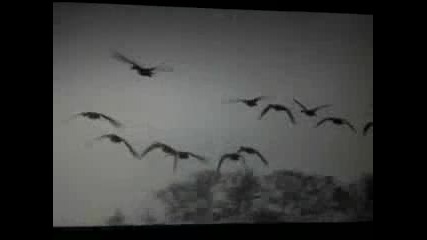Fly Away Home Part 8