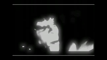 Steroidz - Grammy Night 