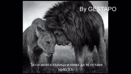Стари Градски Песни-два бука