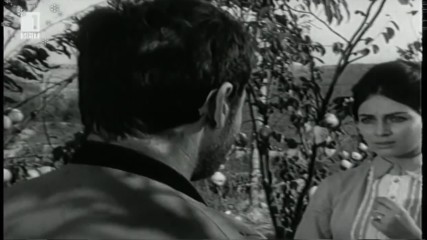 Крадецът на праскови, 1964 г. (откъс)