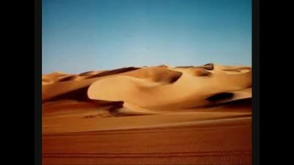 Excision & Downlink - 2005 