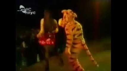 Dragana Mirkovic - Koncert u Ns 1995