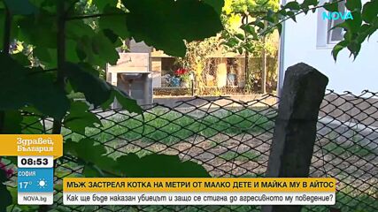 Мъж застреля котка на метри от малко дете и майка му в Айтос