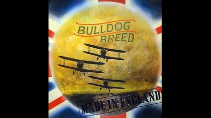 Bulldog Breed - 01 Paper Man