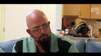 My Cat from Hell s02e03 Full Episodes