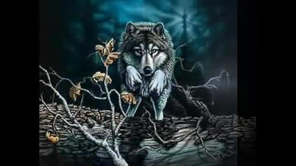 Wolf Pictures 