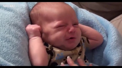 Funny baby Funny Videos Funny Catsfunny Babies Laughing Compilation 2015