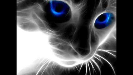 Techno & Bass Remix
